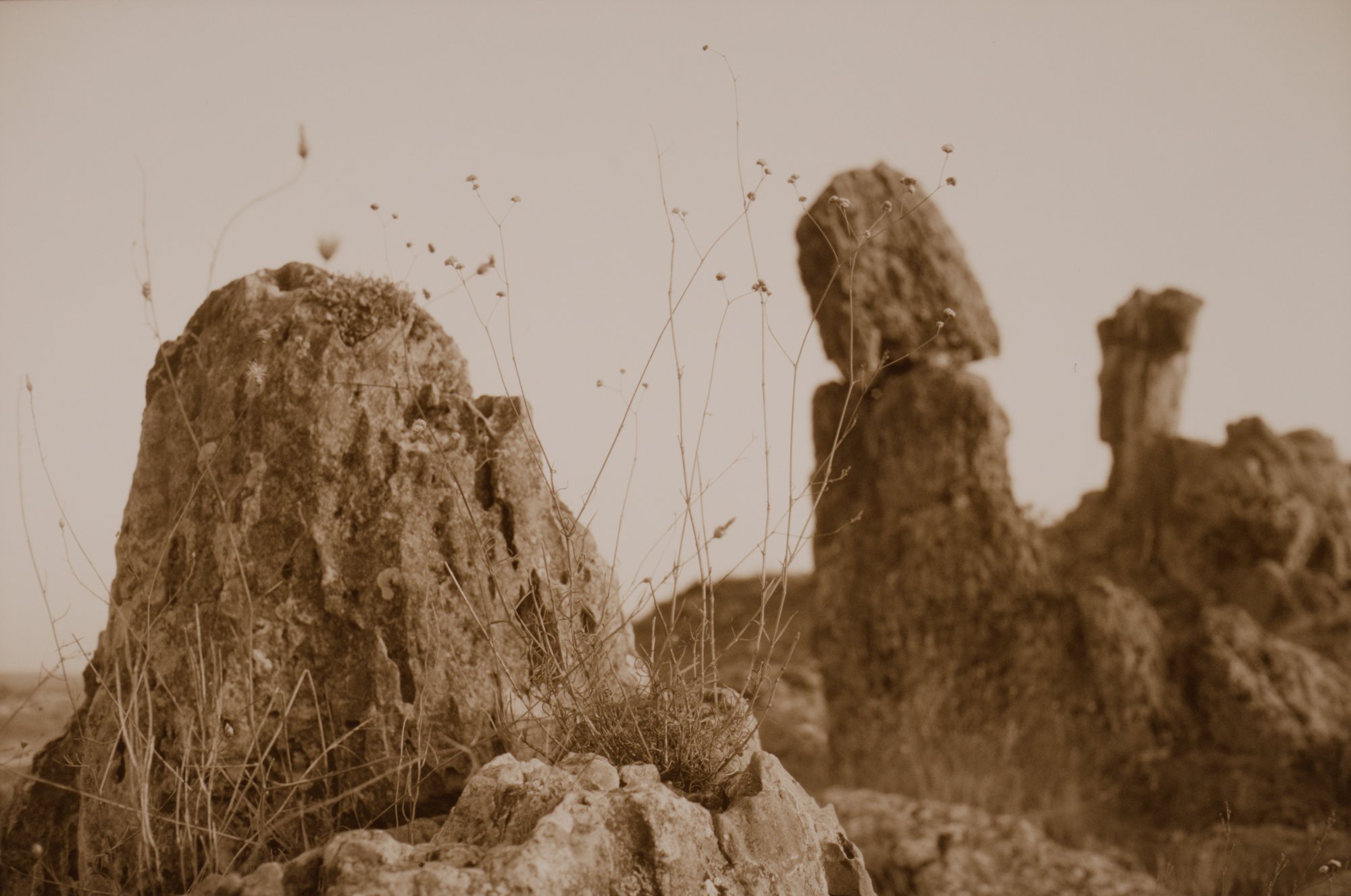 DSCF4828_s.jpg