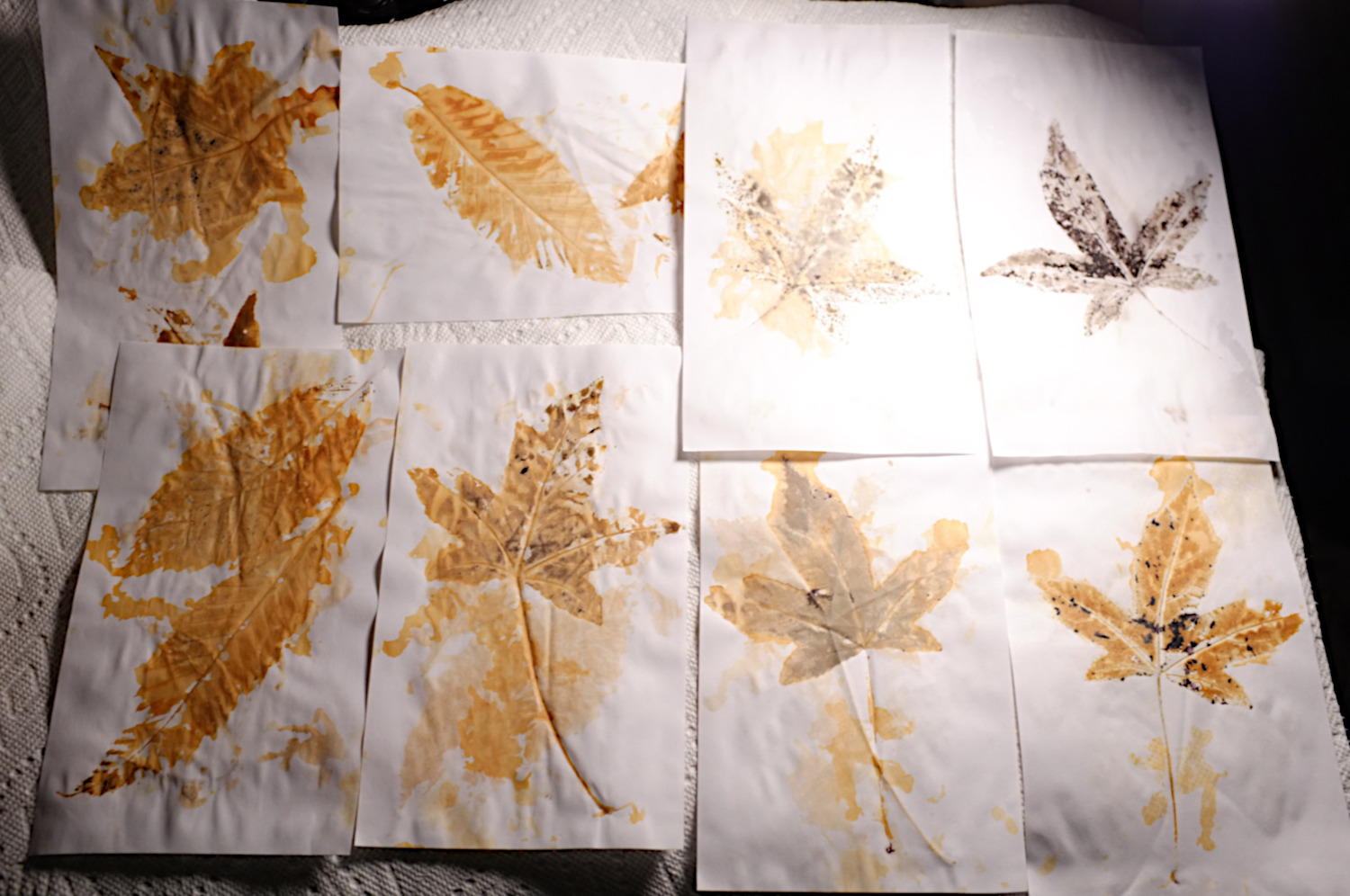 DSCF5389s.jpg