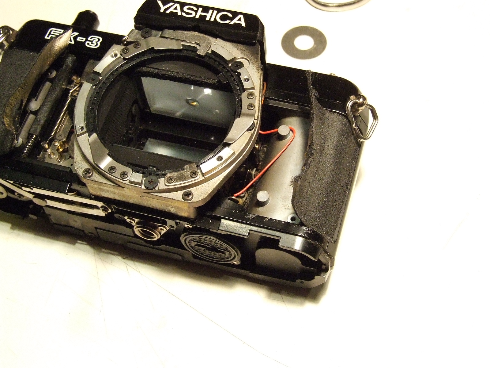 DSCF5581.JPG