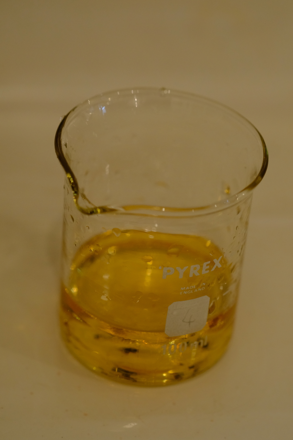DSCF8449.jpg