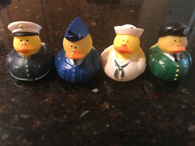 Ducks2.jpg