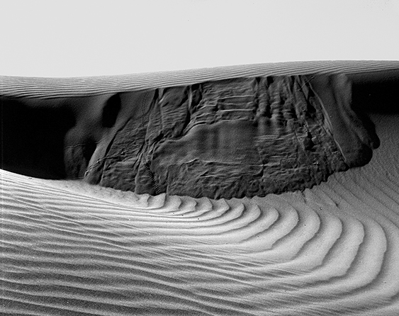 Dune Detail 1.jpg