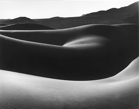 Dune Nude 1.jpg
