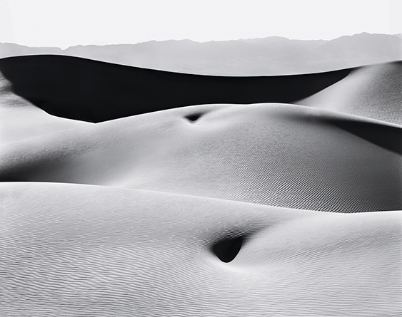 Dune Nude 2.jpg
