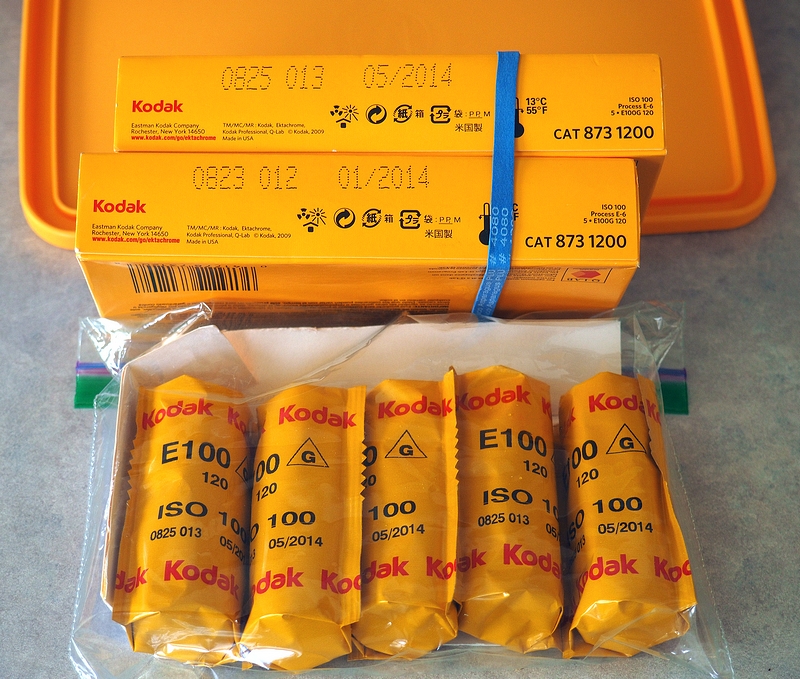 E100G-crop-res 800-41.JPG