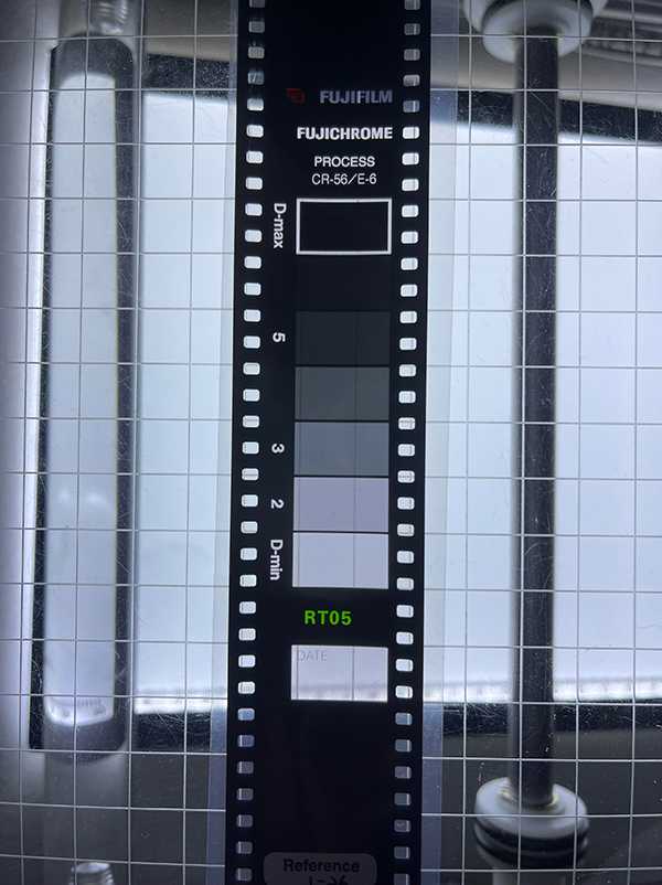e6 strip.jpg