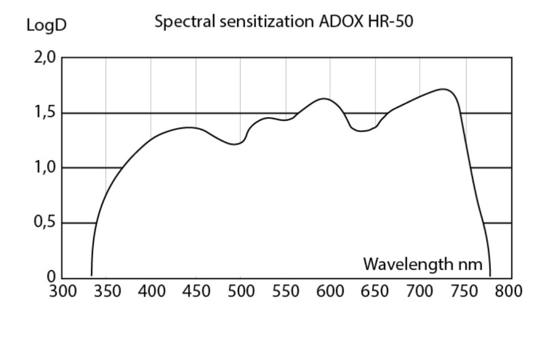 E709E404-4EF7-49B9-A223-FC824D1EBF22.jpeg