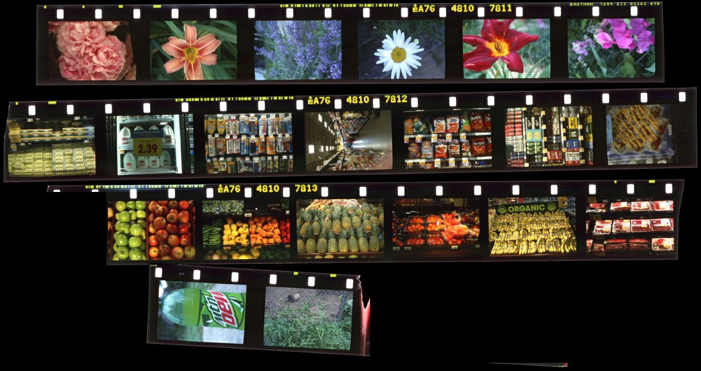 ektachrome16.jpg