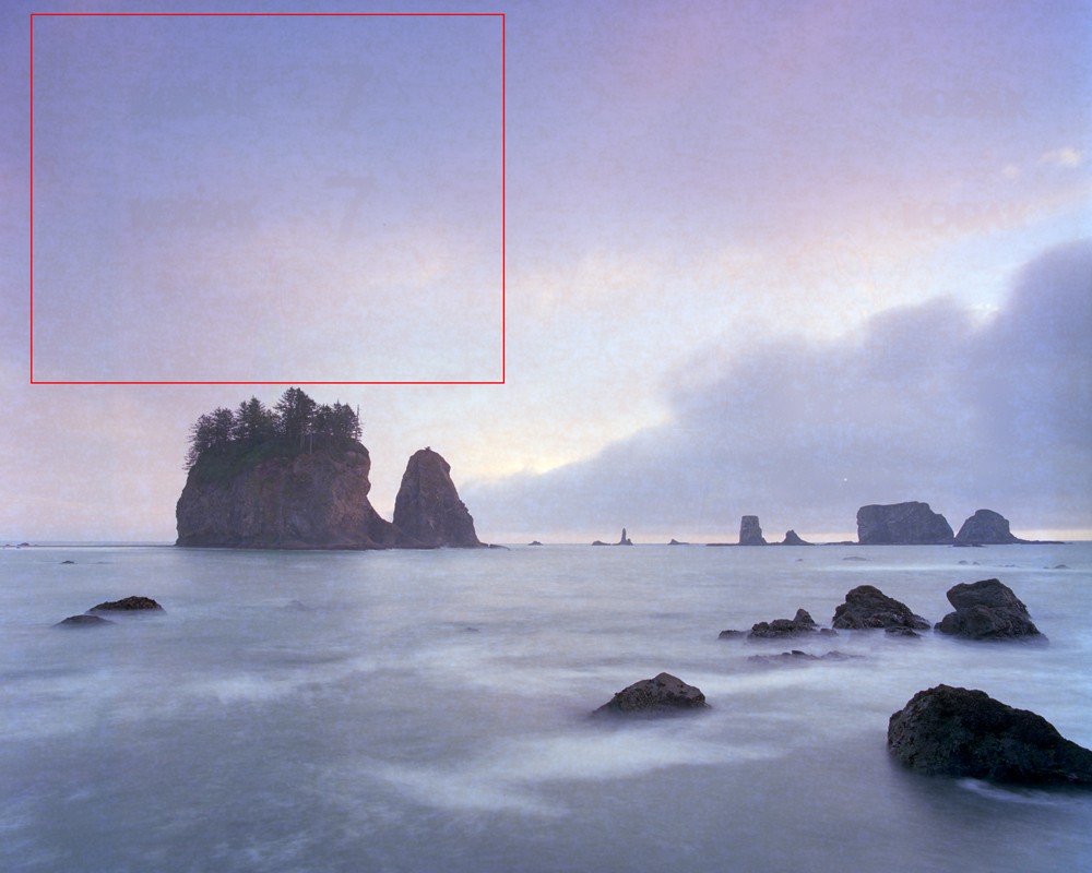 Ektar Imprint.jpg