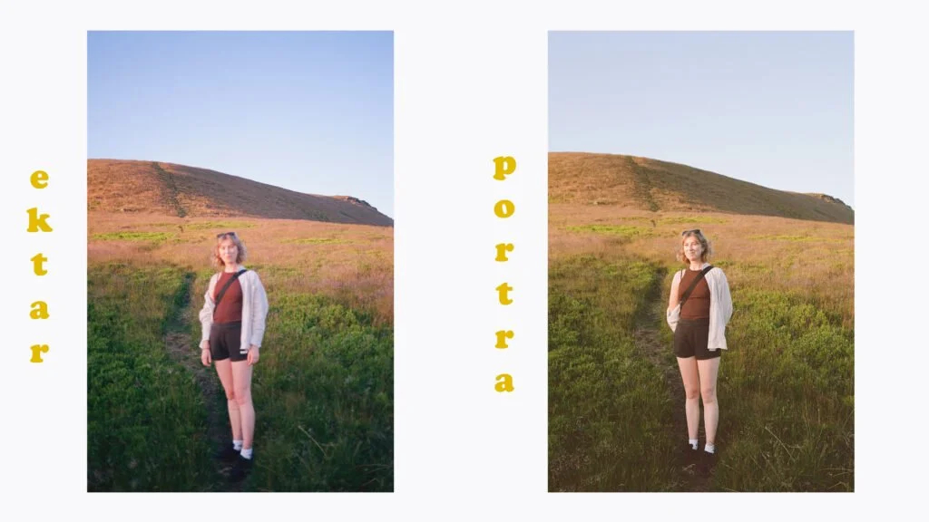ektar-vs-portra.jpg