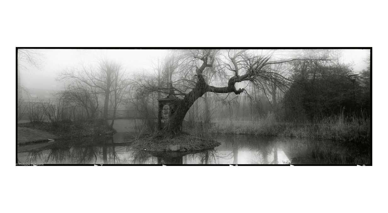 ELISBETHPARK.JPG