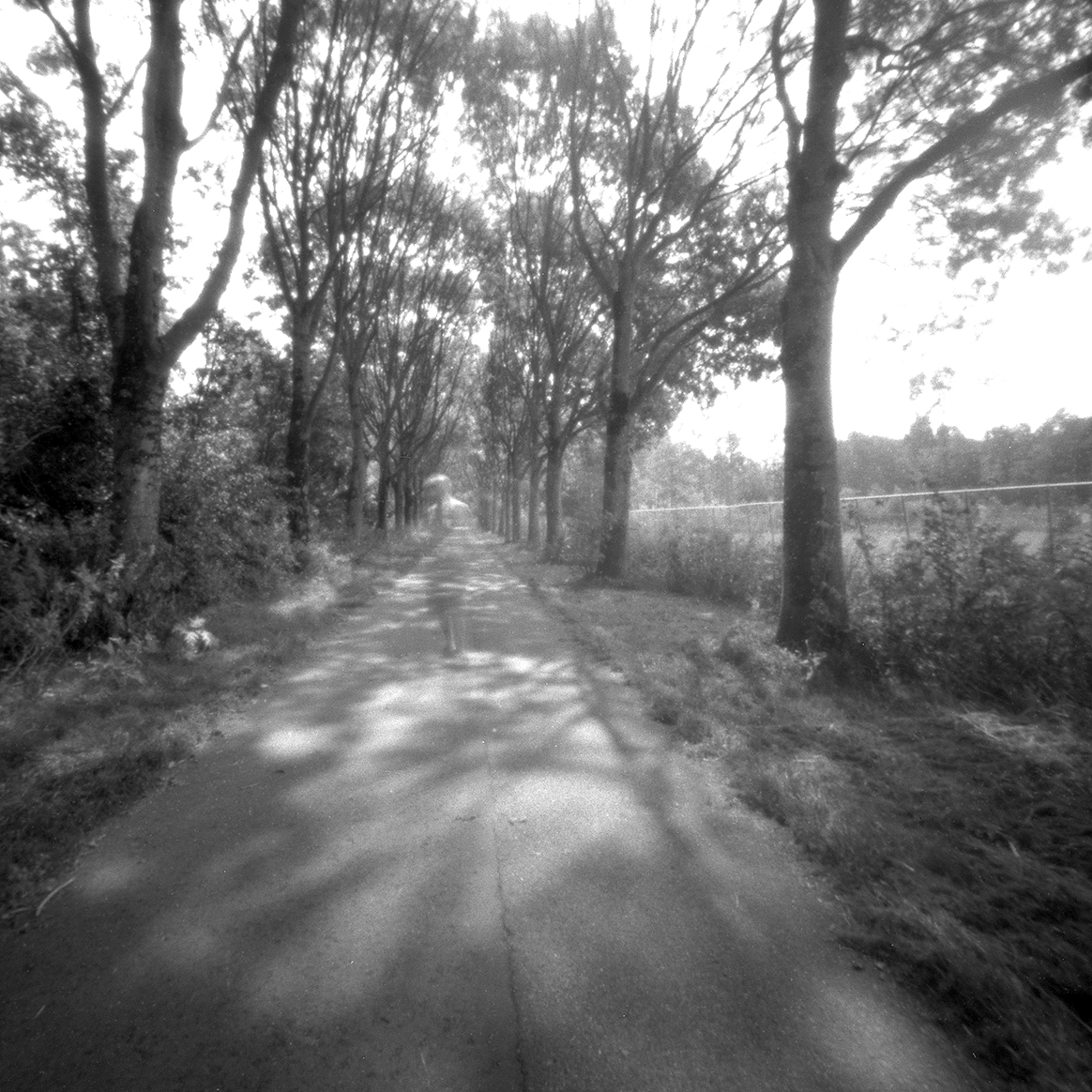 Elzenlaantje Oostepark - Ridderkerk.jpg