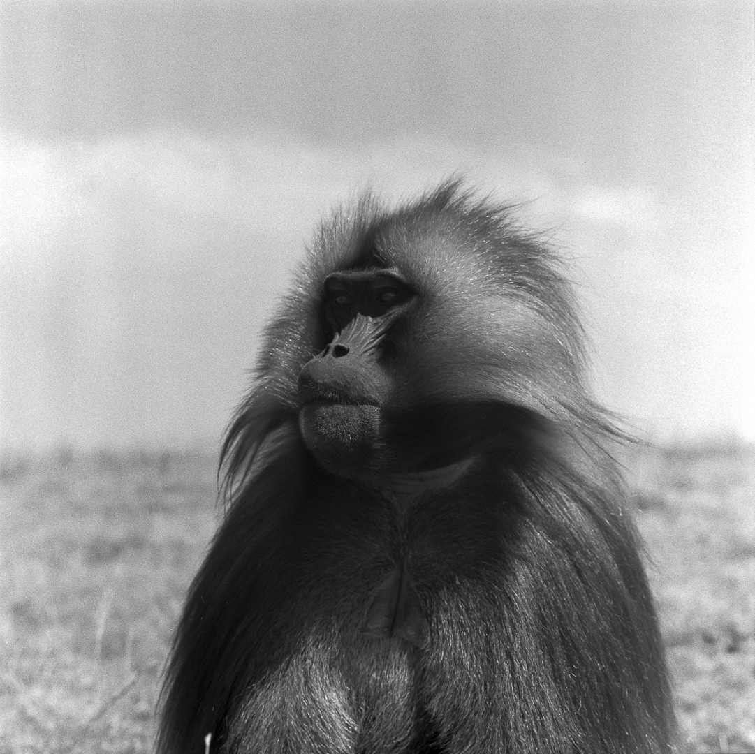 ethiopiaInstagram-75.jpg