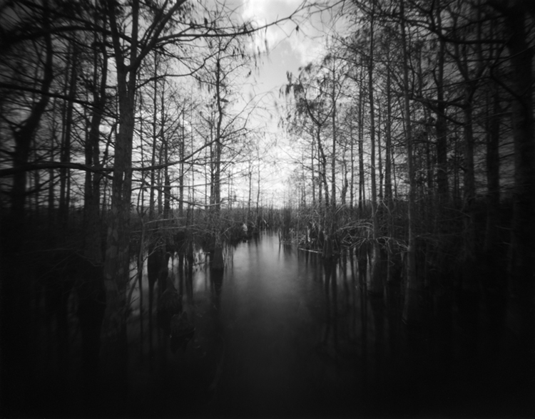 Everglades 3inchSD45 Jan 2022 RZFB.jpg