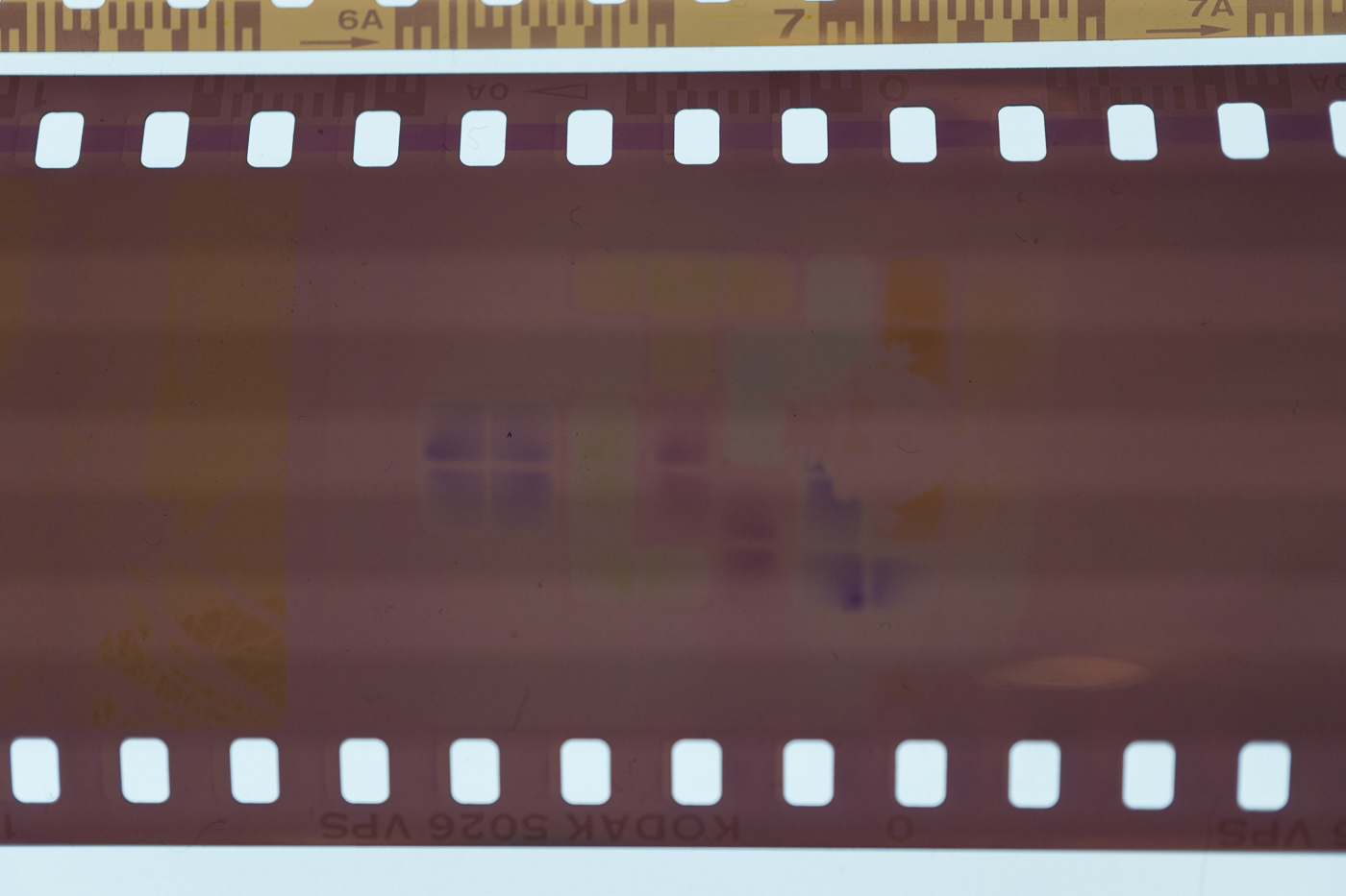 expired film-102.jpg