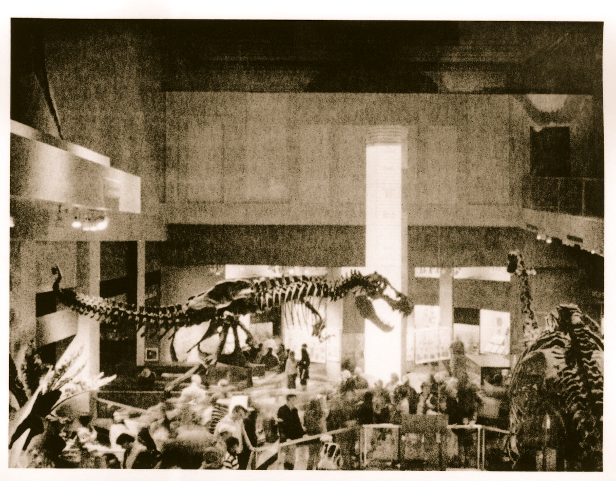 Extra Minox 4.jpg