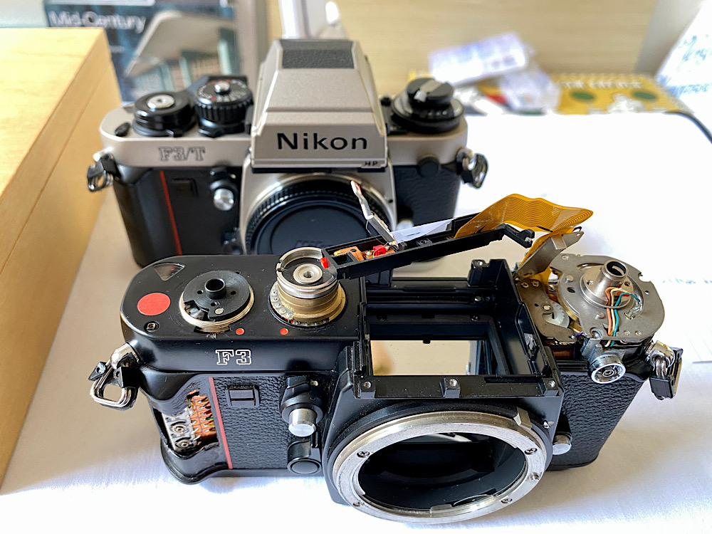 F3:T_10.jpg