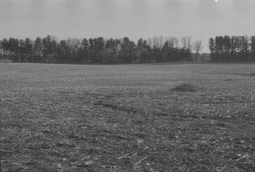 Field of Sprockets.jpg