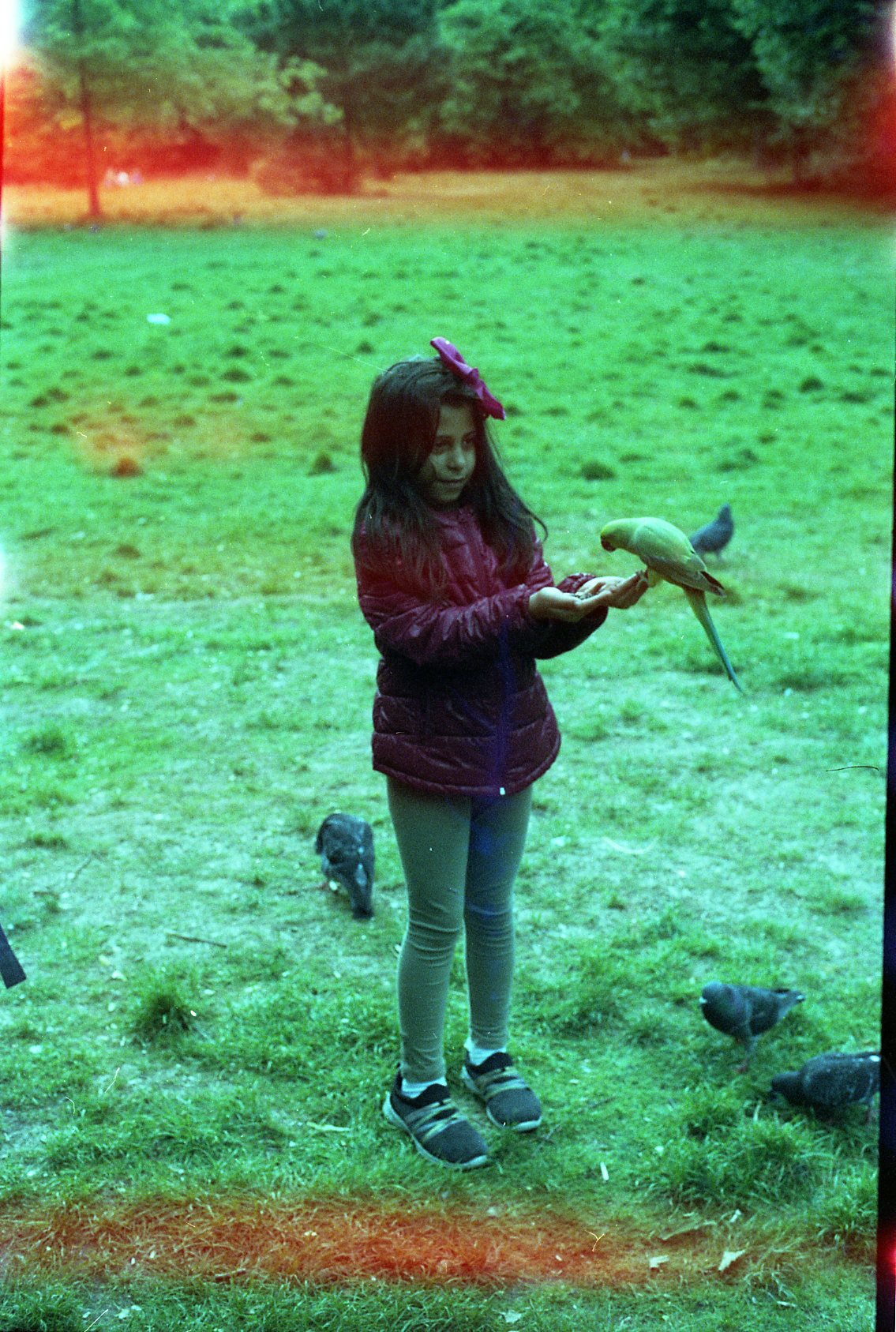 film 571461027.jpg