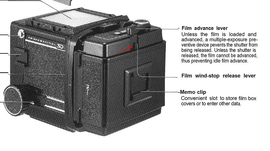FILM WIND-STOP RELEASE.jpg