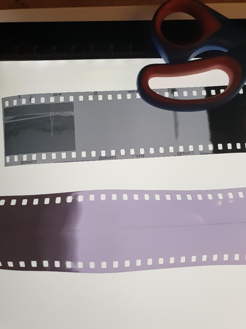 film1.jpeg