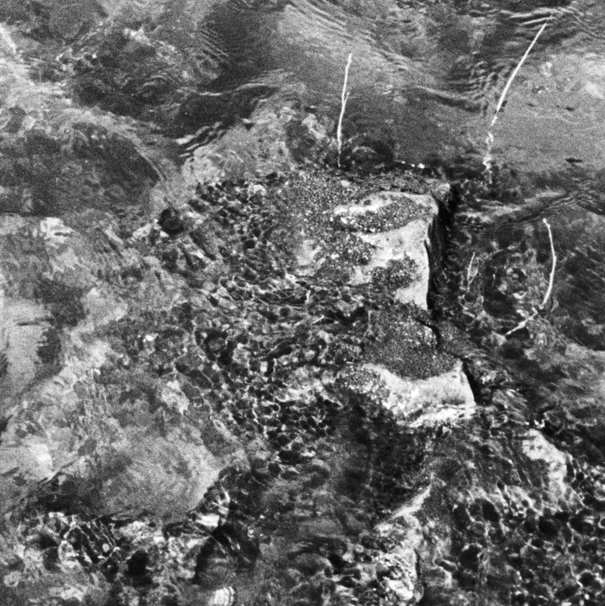 film22bcurvescrop4x4center.jpg