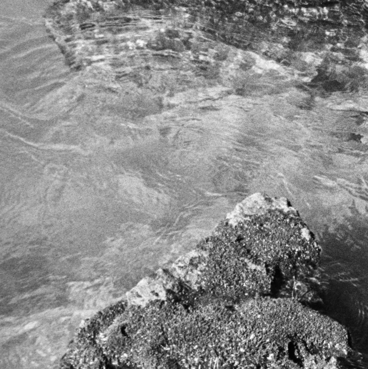 film22bcurvescrop4x4midframe.jpg