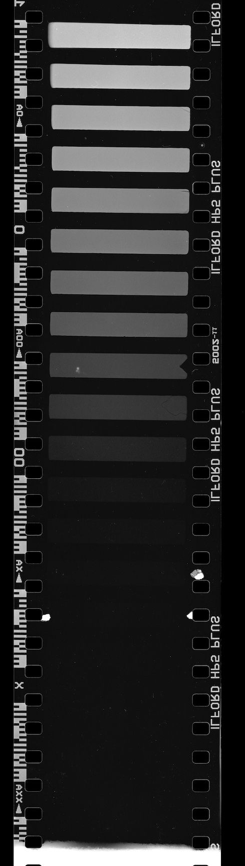 filmstrip_test.jpg
