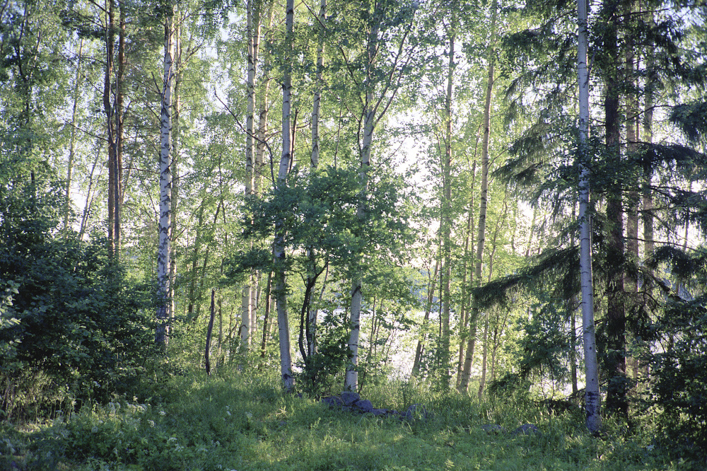 Finland110_1000px.jpg