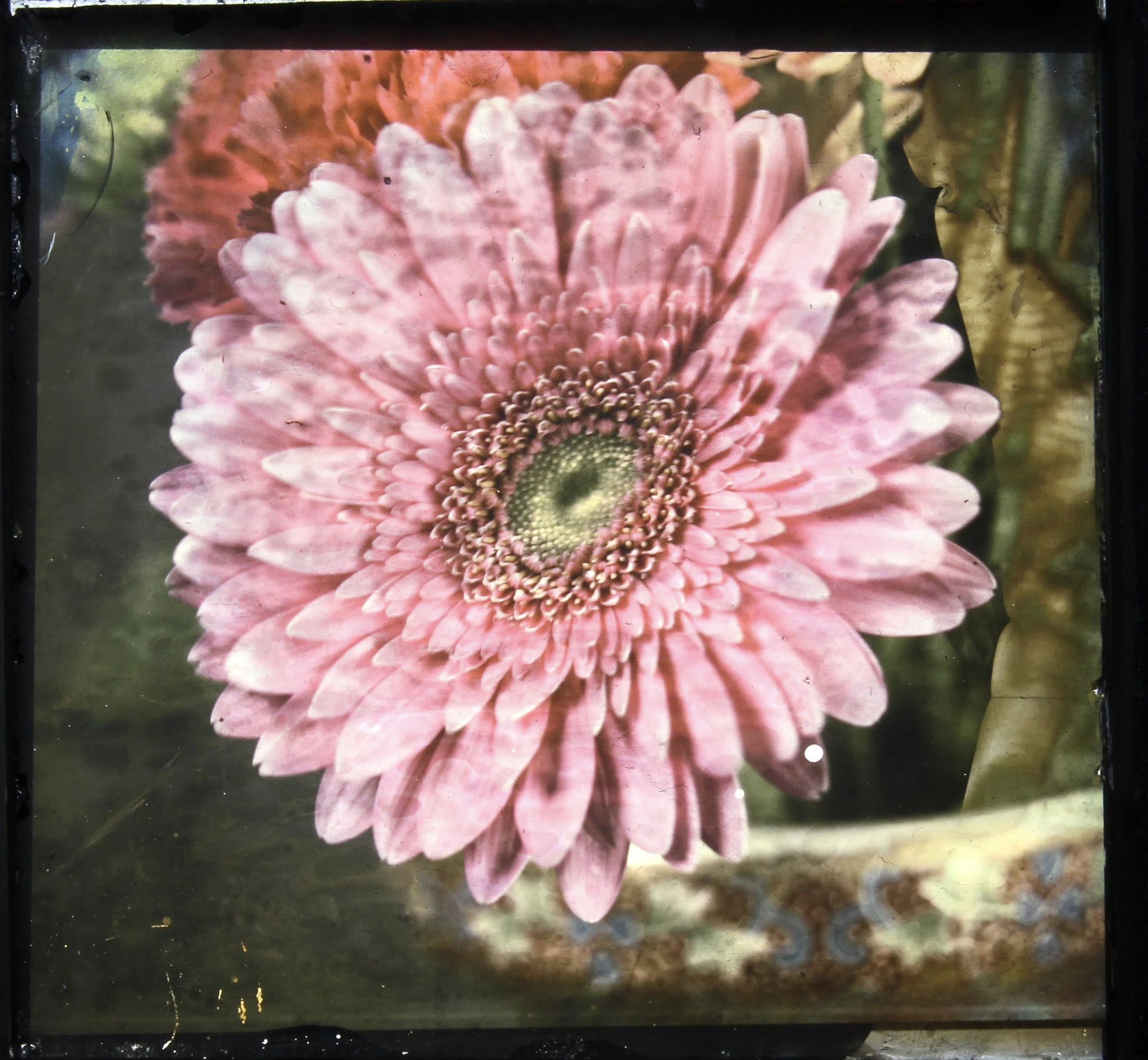 flawer.jpg