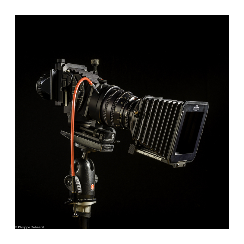 FLEXBODY.JPG