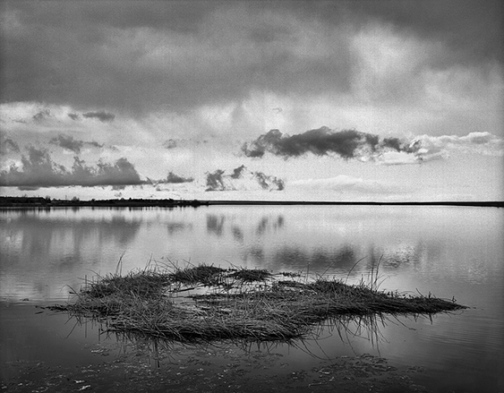 Floating grass, CO.jpg
