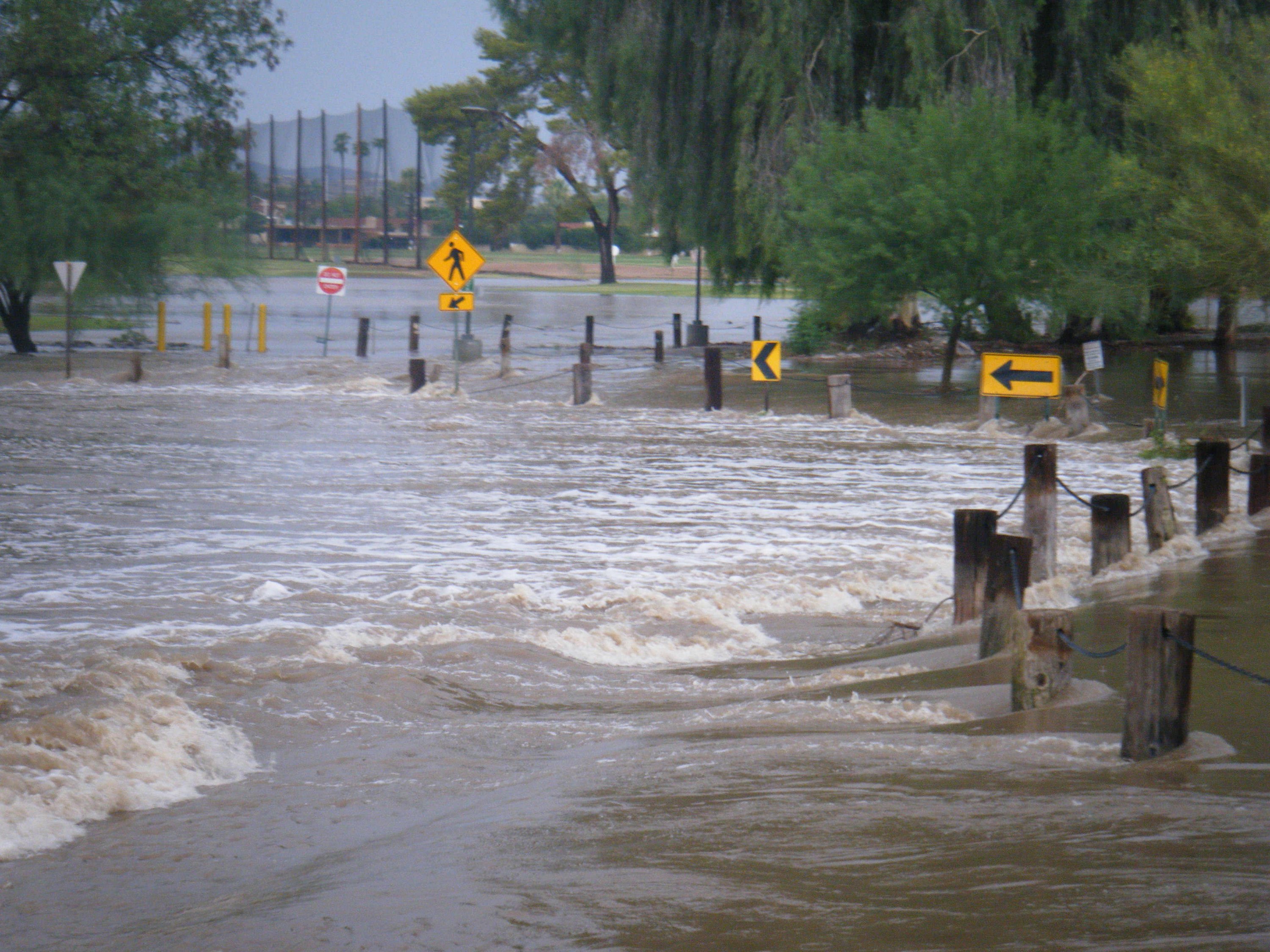 flood .jpg