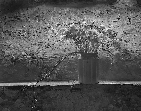 Flower Pot, Eglwys Sant Ellyw, Llaneleu, Wales.jpg