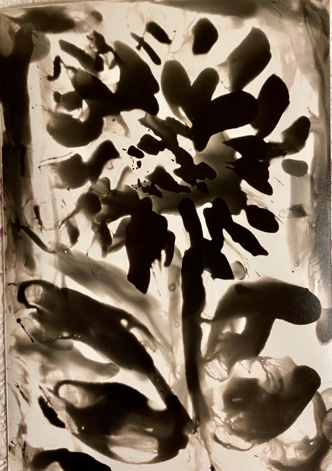 flower1.jpeg