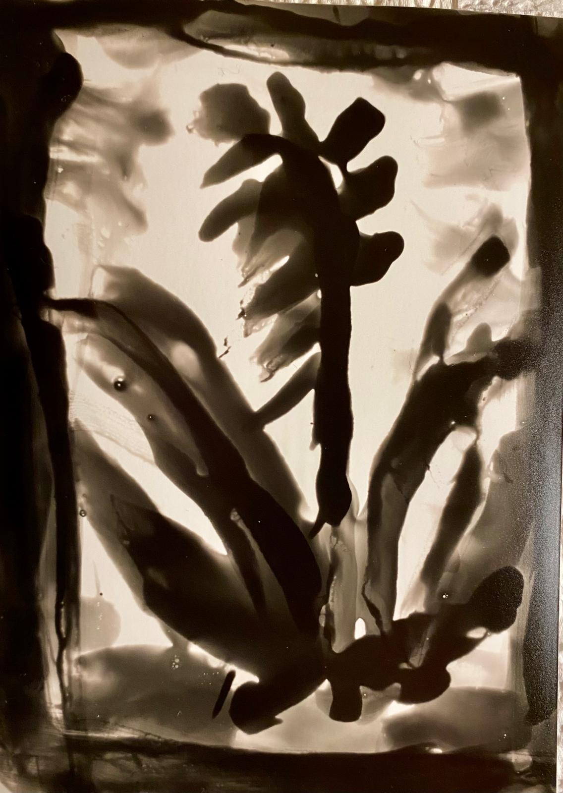 flower2.jpeg