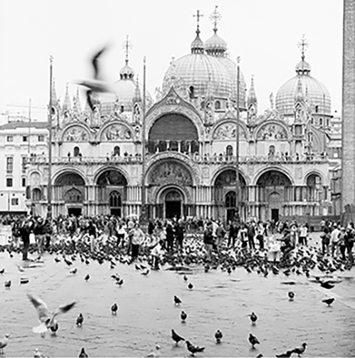flying-bird-venice.jpg