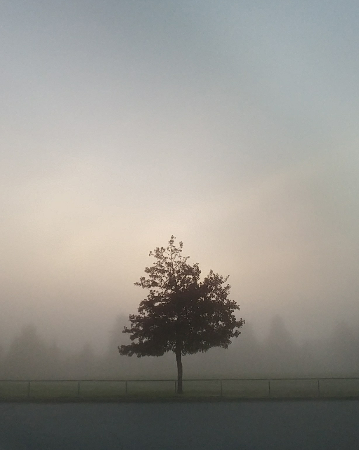 fog.jpg