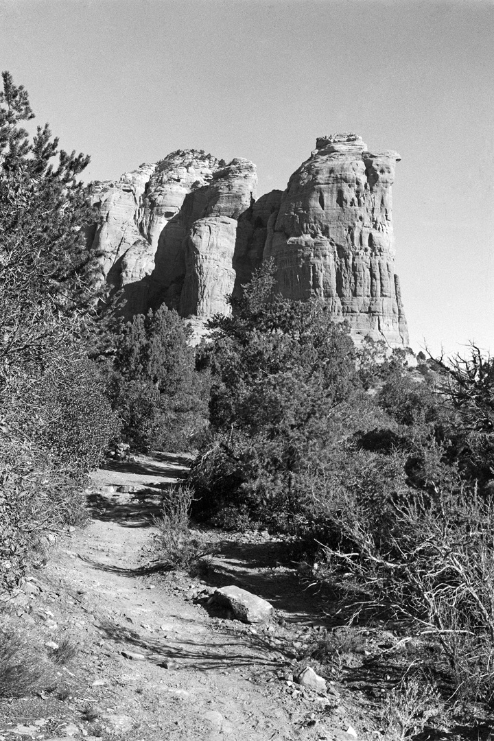 Follow the Path .jpg