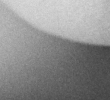 foma100grain.jpg