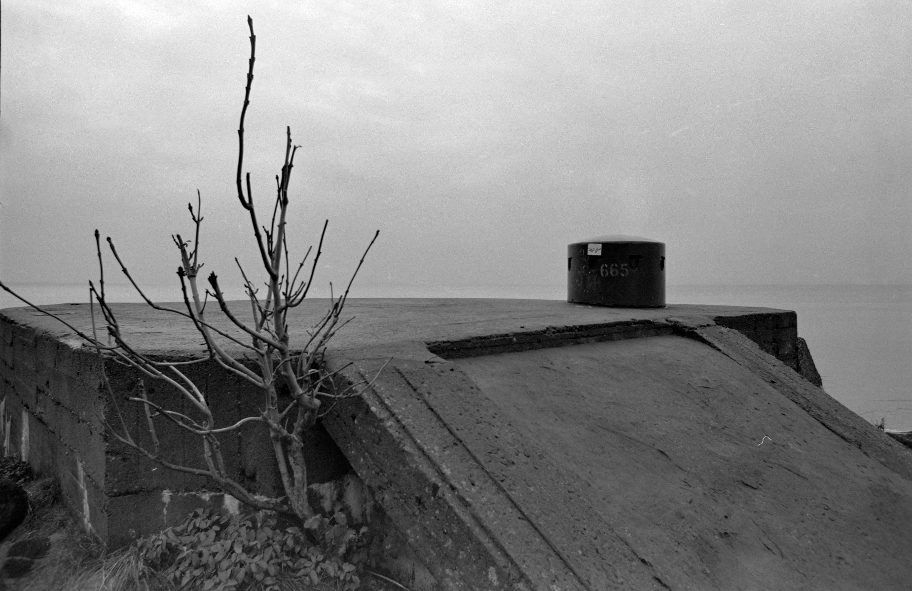 Fomapan 100_2.jpg