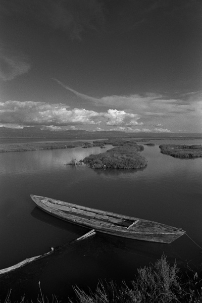 Fomapan 400 01.jpg