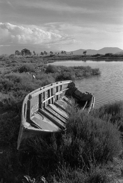 Fomapan 400 03.jpg