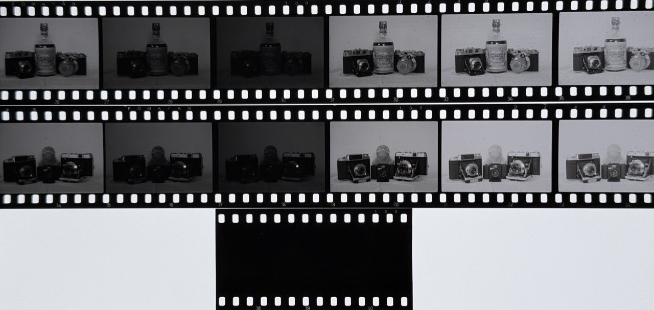 Fomapan100_reversal.jpeg