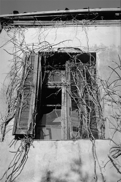 Fomapan_R100_sample1.jpg
