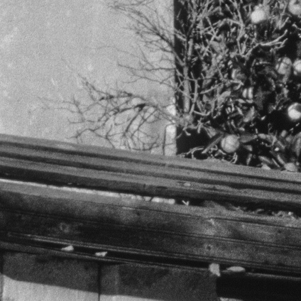 Fomapan_R100_sample3.jpg