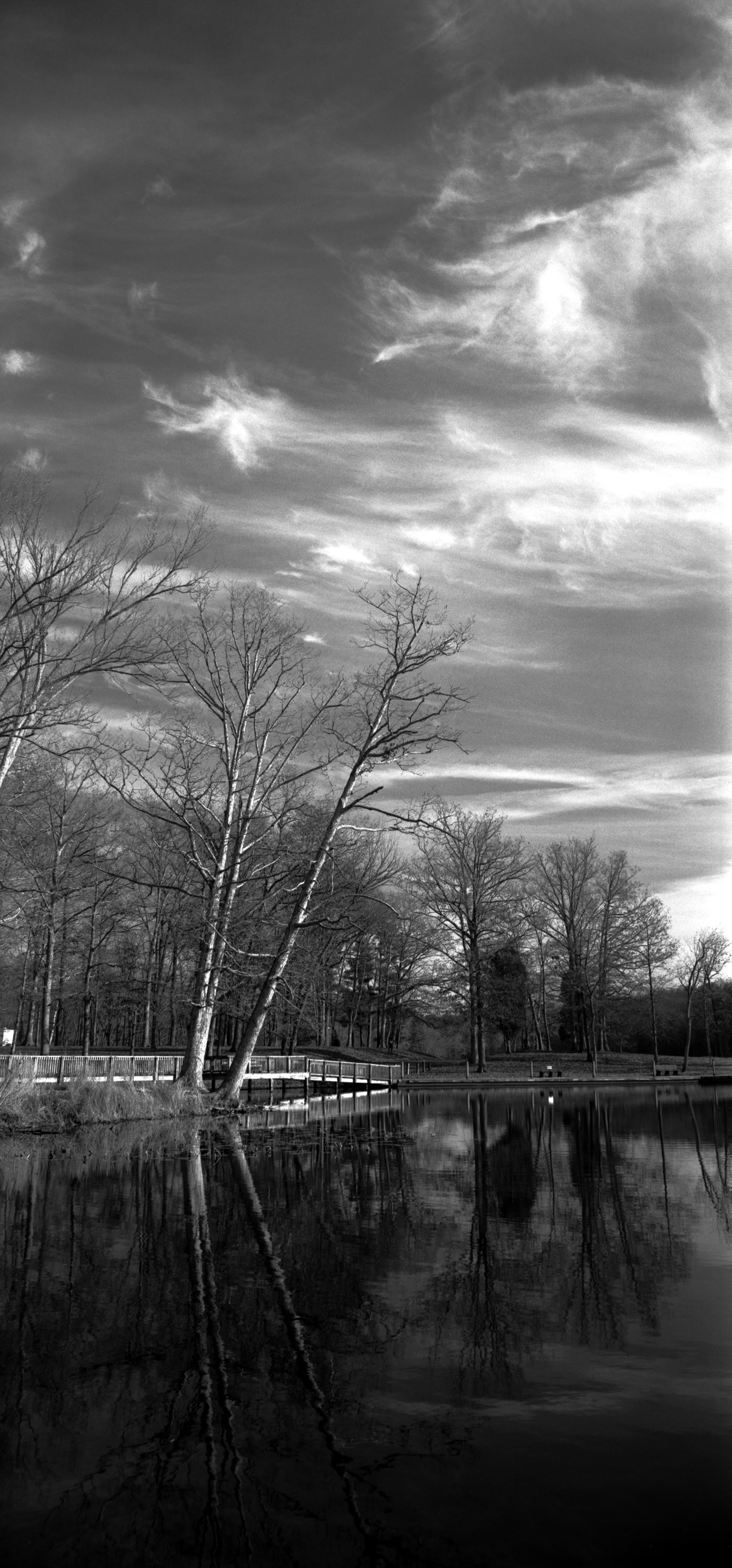 FP4-3-01.jpg