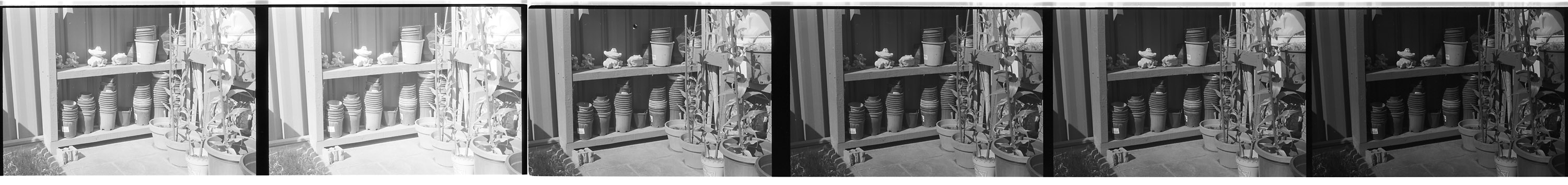 FP4 in D23 Test.jpg