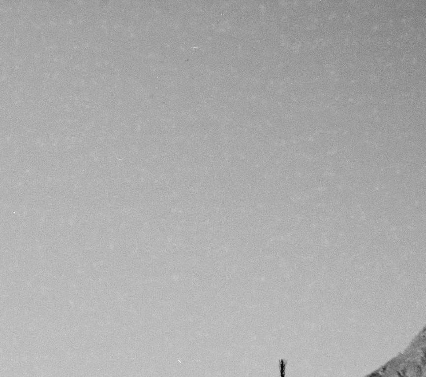fp4+spots.jpg