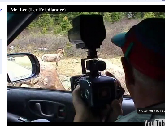 Friedlander flashj.jpg